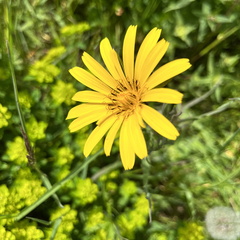 23-05-21 12-31-18 5515